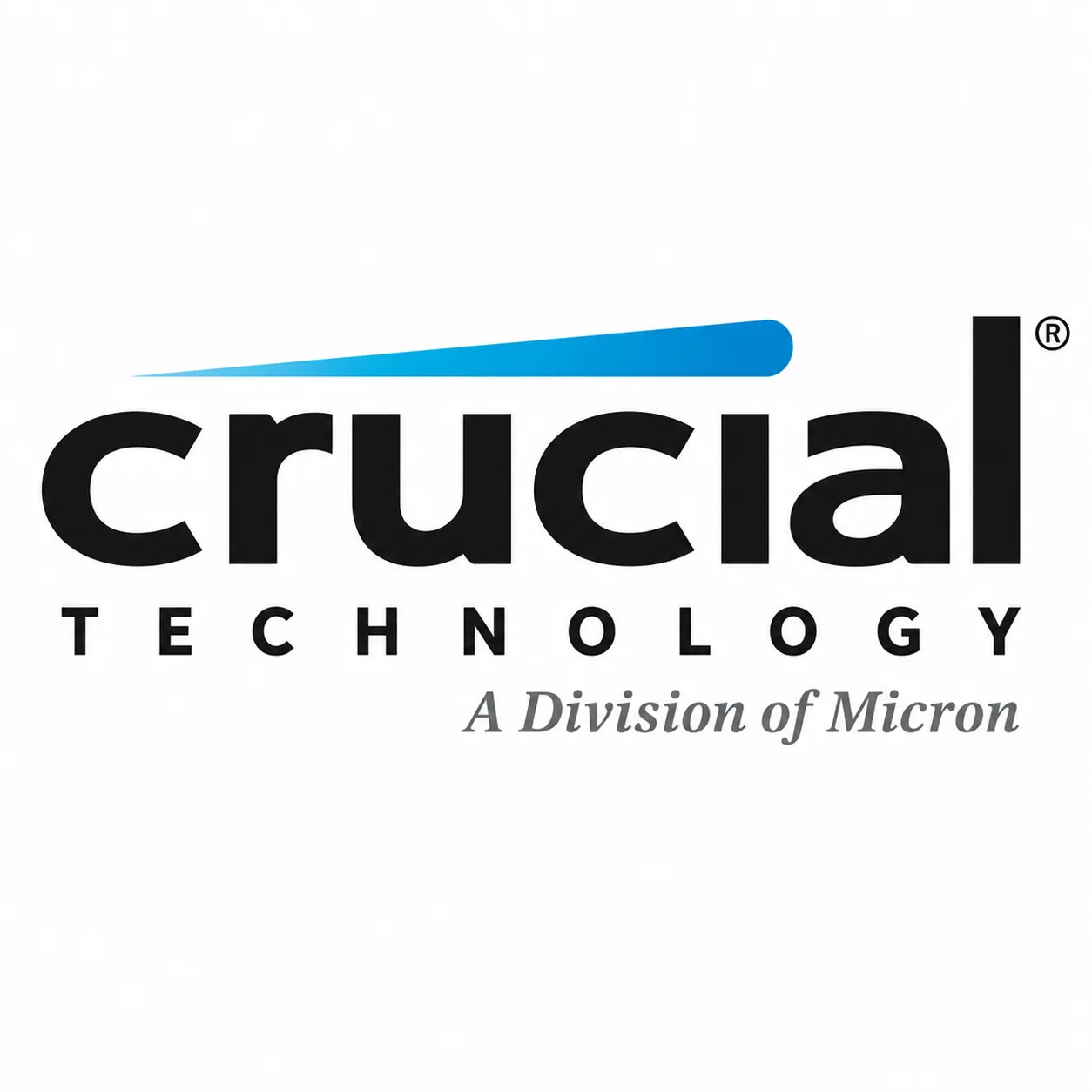 CRUCIAL logo