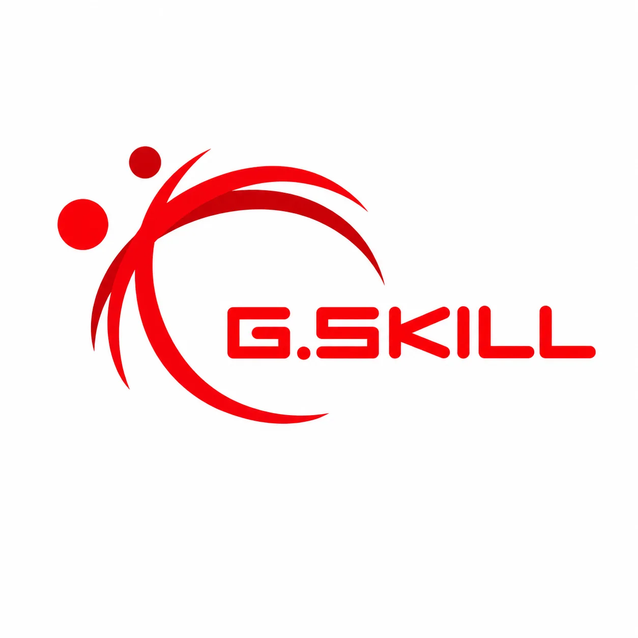 G.SKILL Logo