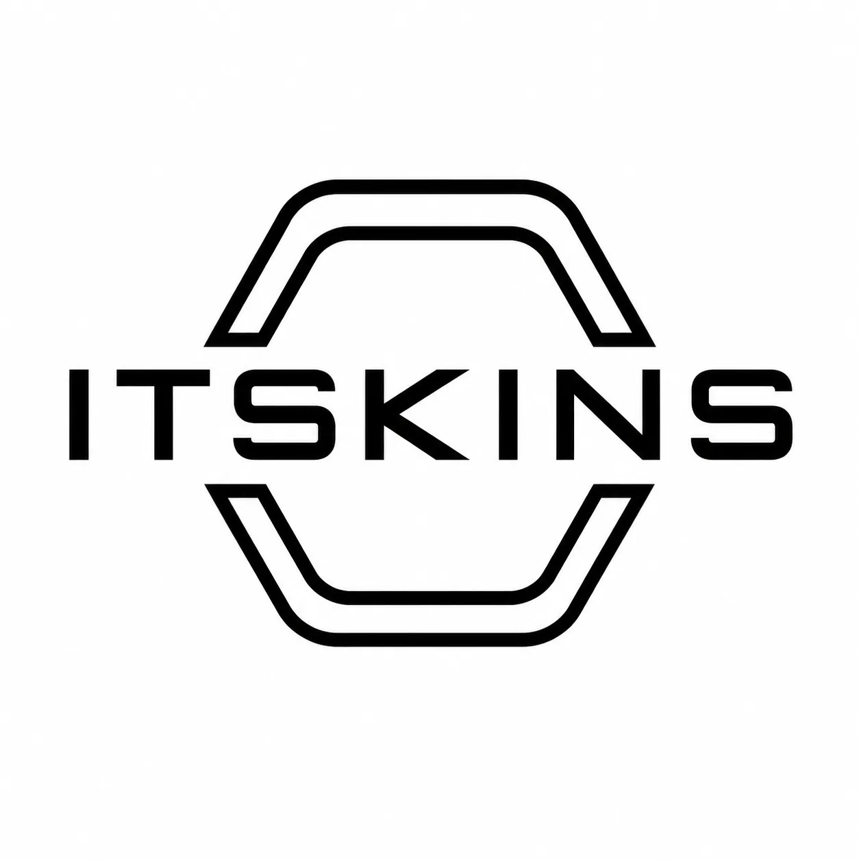 IT SKINS Logo