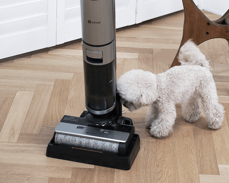 EZVIZ Smart Cordless Wet & Dry Vacuum Cleaner - CS-RH2-MGA3 thumbnail 5