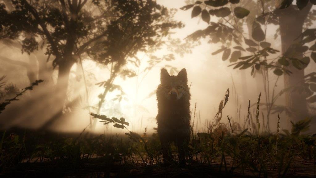MICROSOFT XBOX SERIES RED DEAD REDEMPTION II GAME CD thumbnail 23