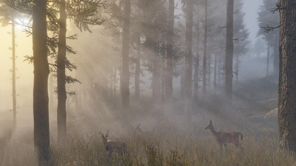 MICROSOFT XBOX SERIES RED DEAD REDEMPTION II GAME CD thumbnail 21