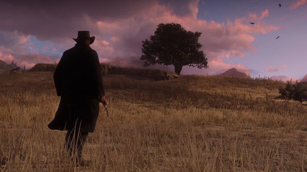 MICROSOFT XBOX SERIES RED DEAD REDEMPTION II GAME CD thumbnail 25