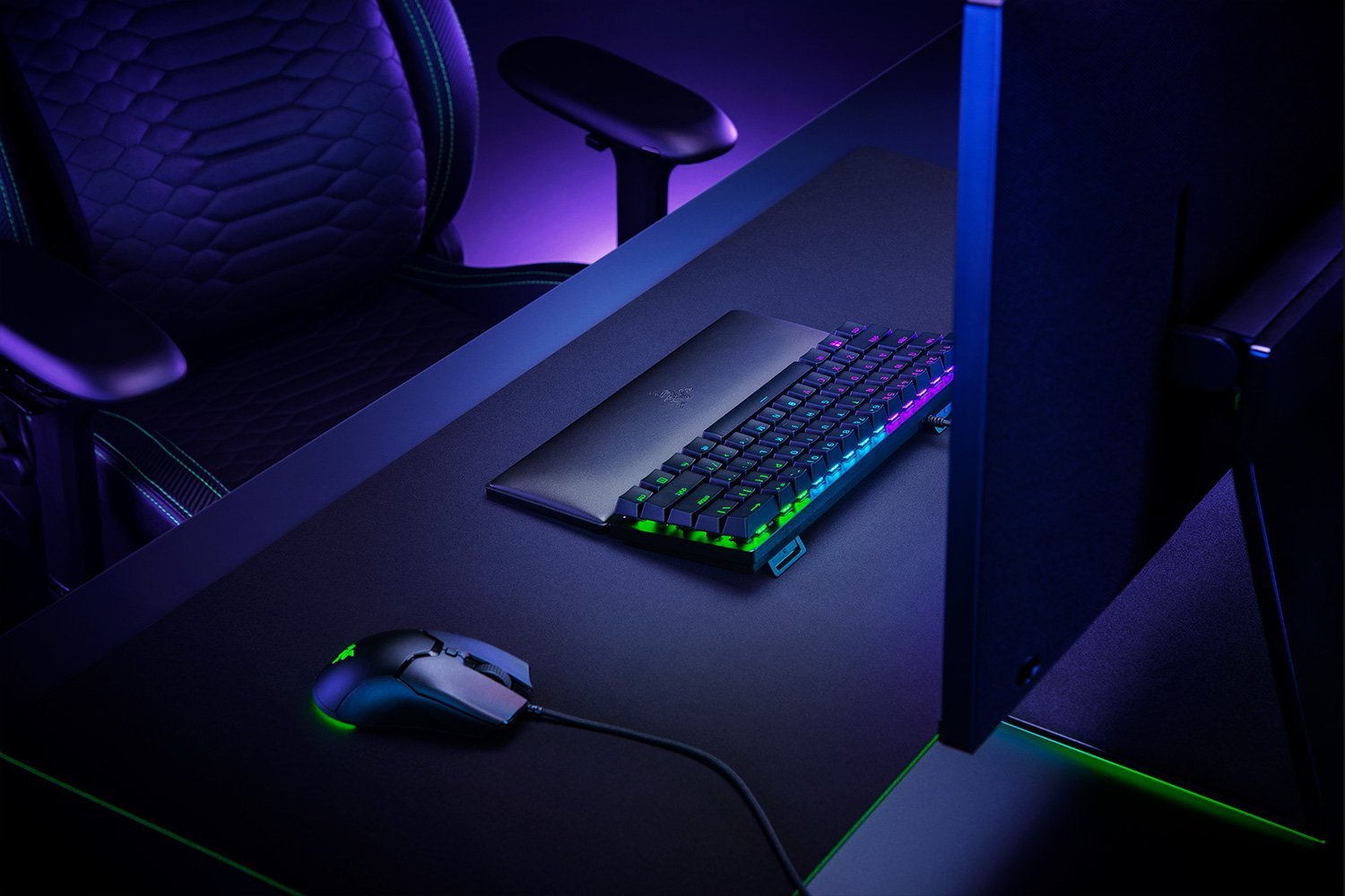 Razer Ergonomic Wrist Rest for Mini Keyboards (RC21-01720100-R3M1) - Compact Support for Comfortable Typing thumbnail 12