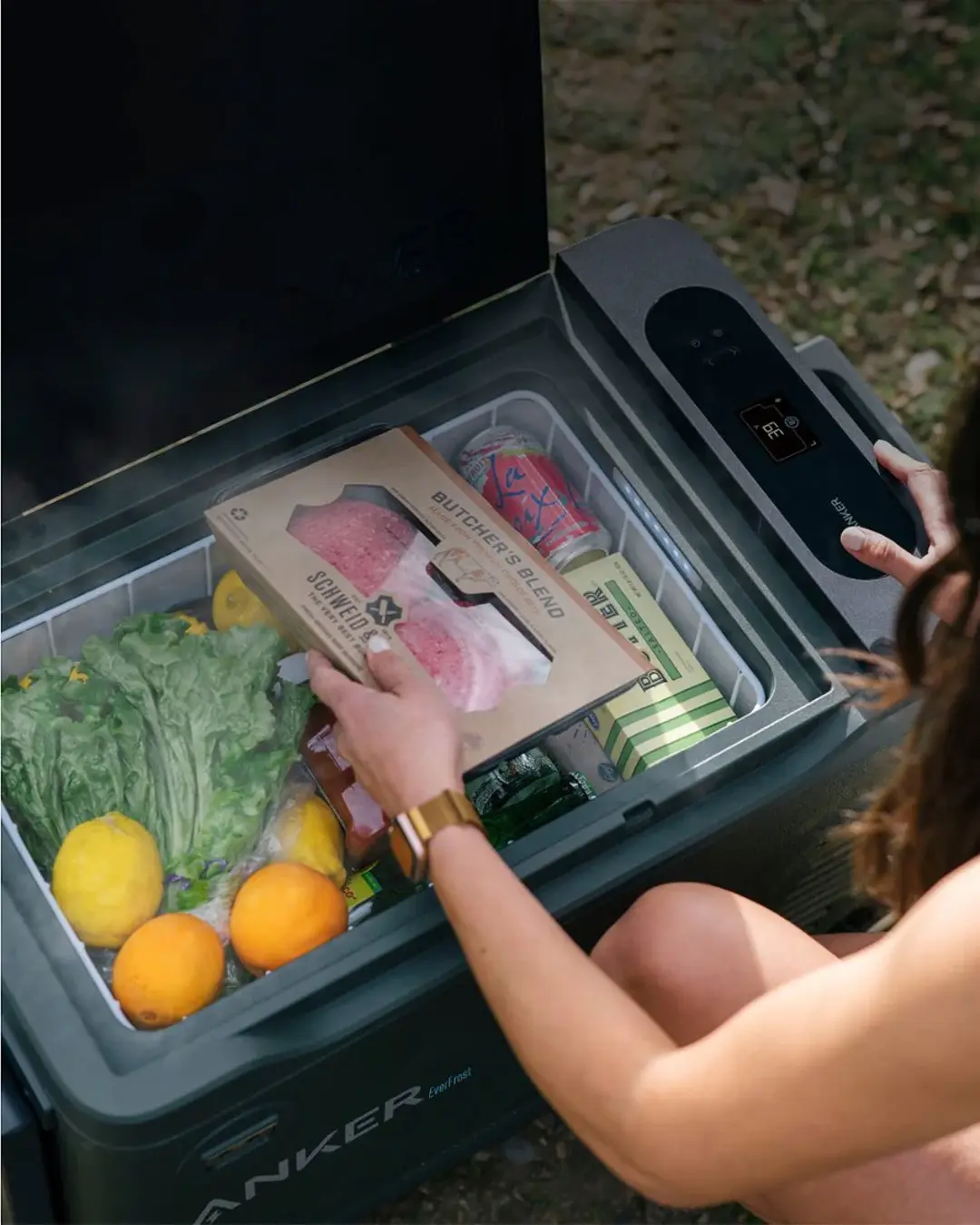 Anker EverFrost Portable Powered Cooler (33L) - A17A02M1, Efficient Cooling, Compact Design thumbnail 15