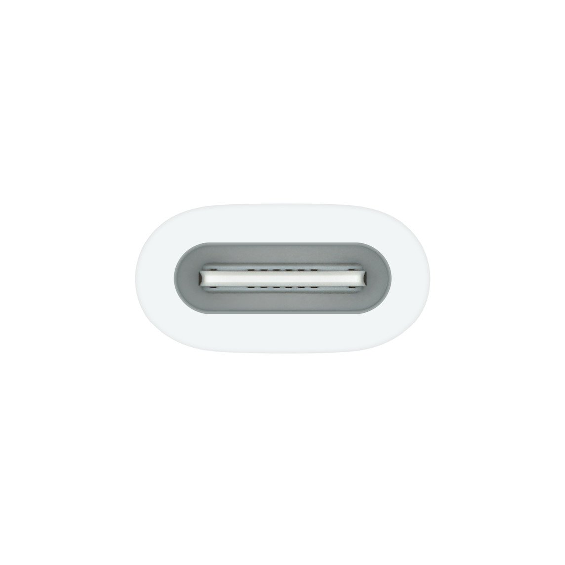 Apple USB-C to Apple Pencil Adapter (MWML3) - Connect Your Apple Pencil to USB-C Devices thumbnail 4
