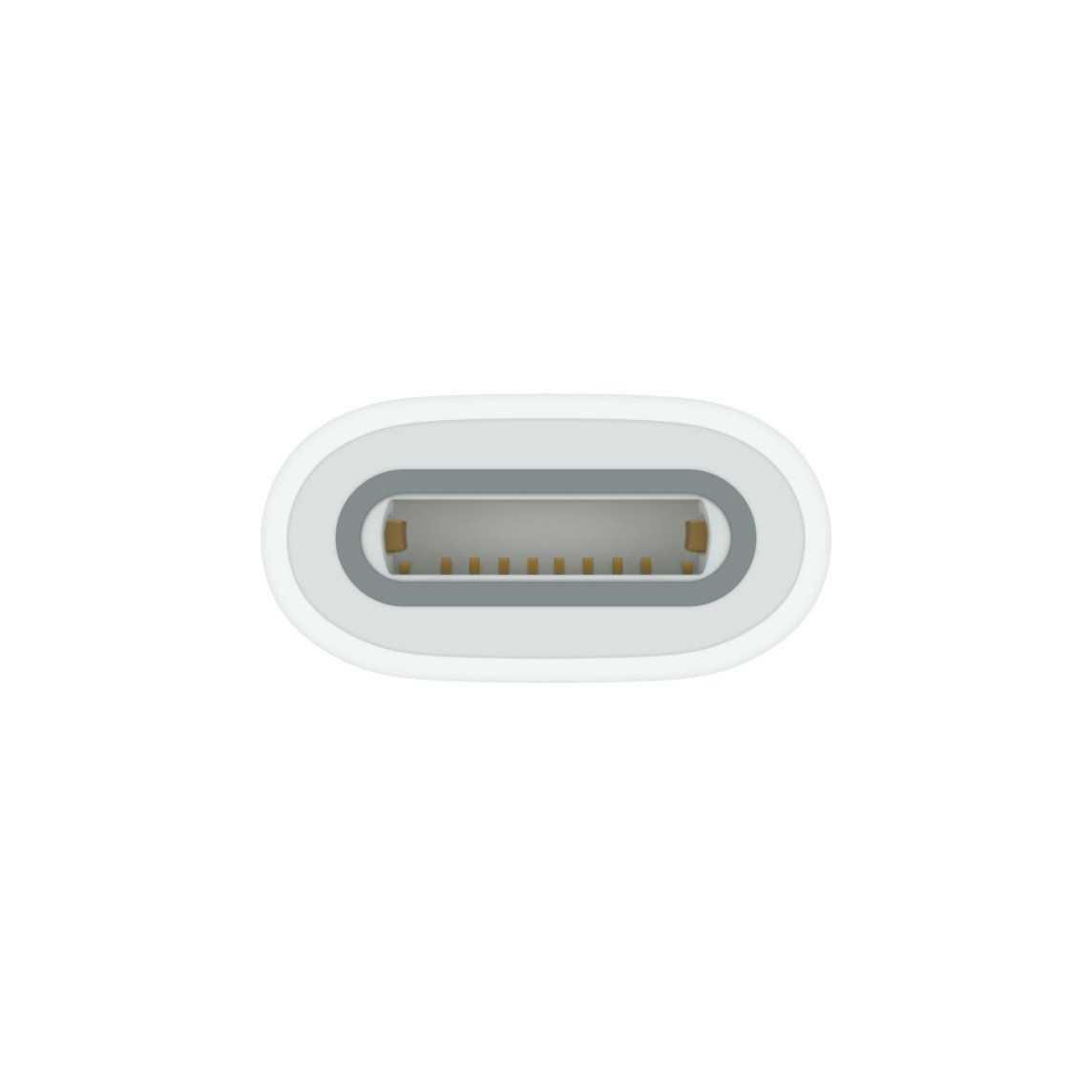 Apple USB-C to Apple Pencil Adapter (MWML3) - Connect Your Apple Pencil to USB-C Devices thumbnail 5