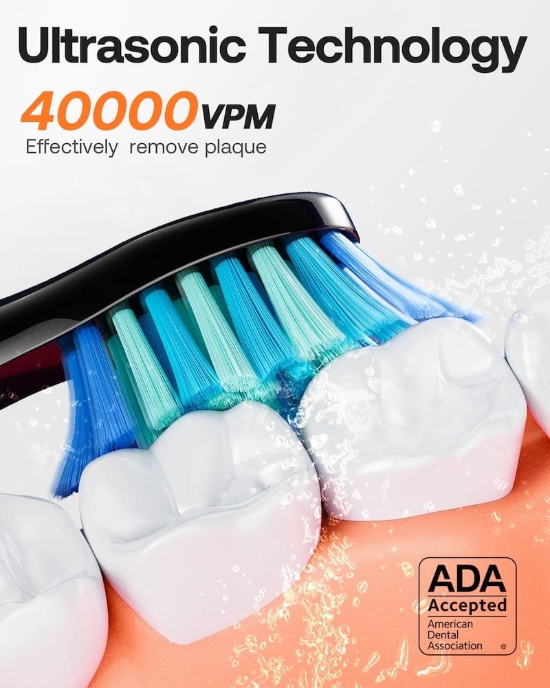 Bitvae Toothbrush Bundle: 8 Heads, Travel Case, Holder, Headcap - Black BV-D2 thumbnail 8