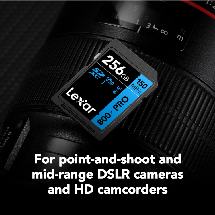 Lexar Professional 800x SDXC™ UHS-I Memory Card - Up to 150MB/s, High-Speed Storage for Photography and Video thumbnail 7