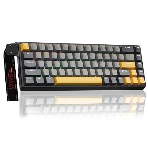 AULA 60 KEYS RGB 60% WIRED MECHANICAL GAMING KEYBOARD WING CHUN MAGNETIC SWITCH GRY-YL-BK WIN60