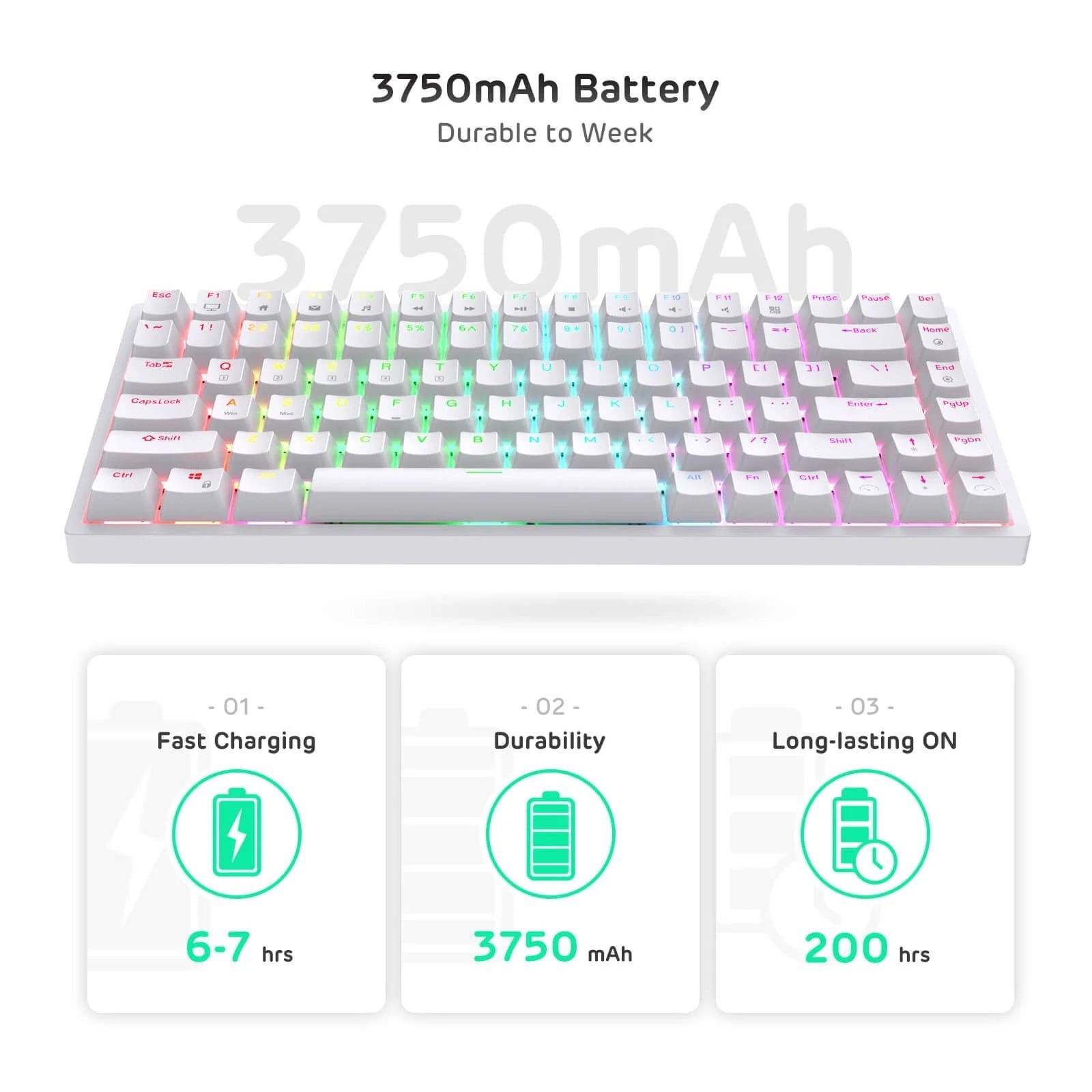 ROYAL KLUDGE GAMING KEYBOARD RGB TRI MODE HOT PLUG BLUE SWITCH WHITE RK84 thumbnail 4