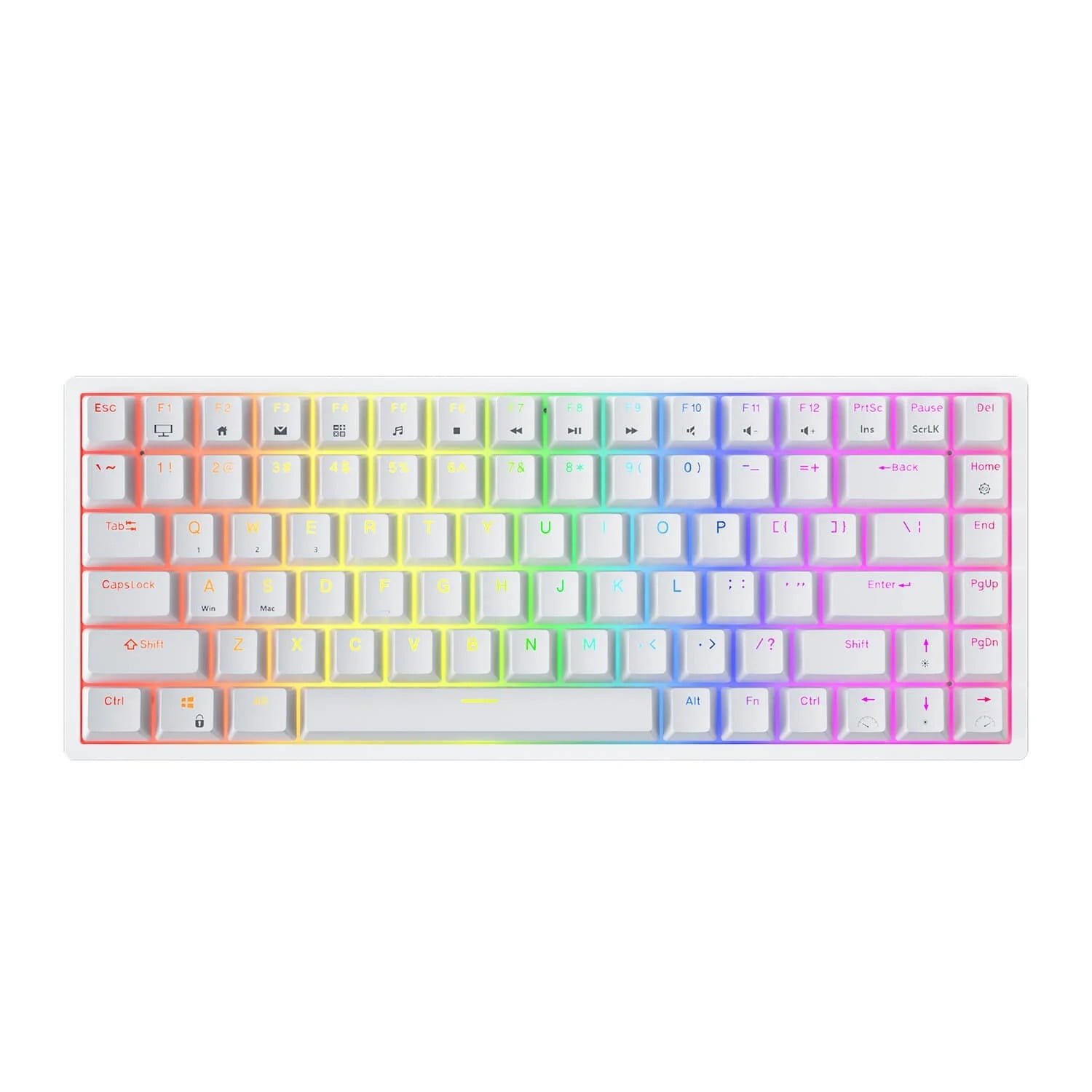 ROYAL KLUDGE GAMING KEYBOARD RGB TRI MODE HOT PLUG BLUE SWITCH WHITE RK84 thumbnail 6
